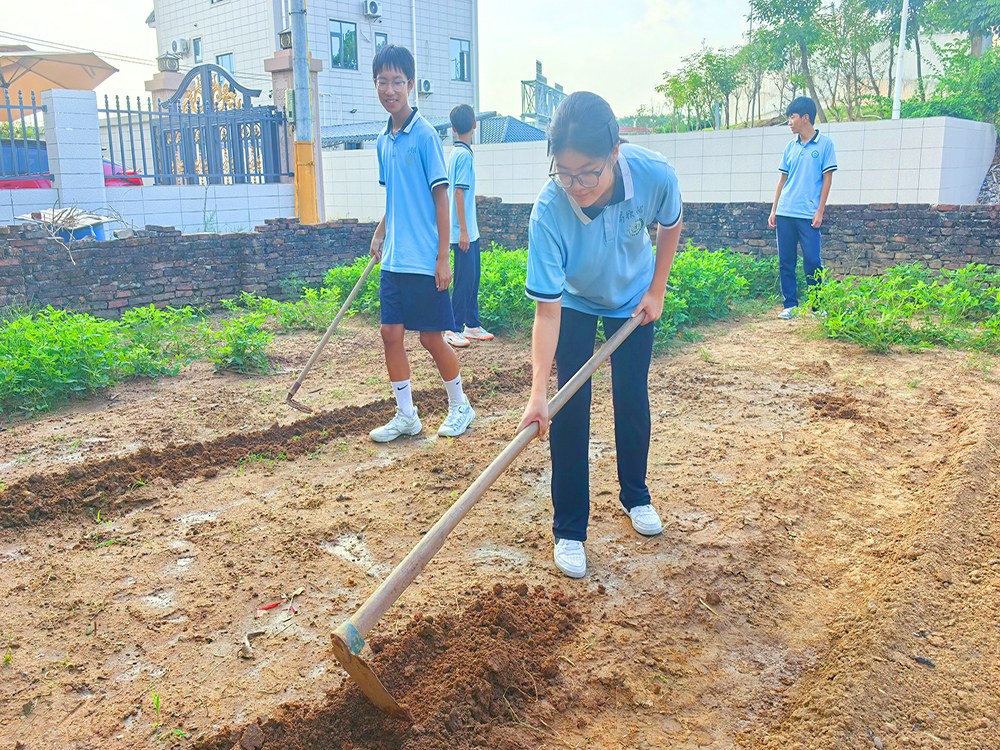 巴中青少年综合素养培育机构怎么联系？本地寄宿成长教育选择指南